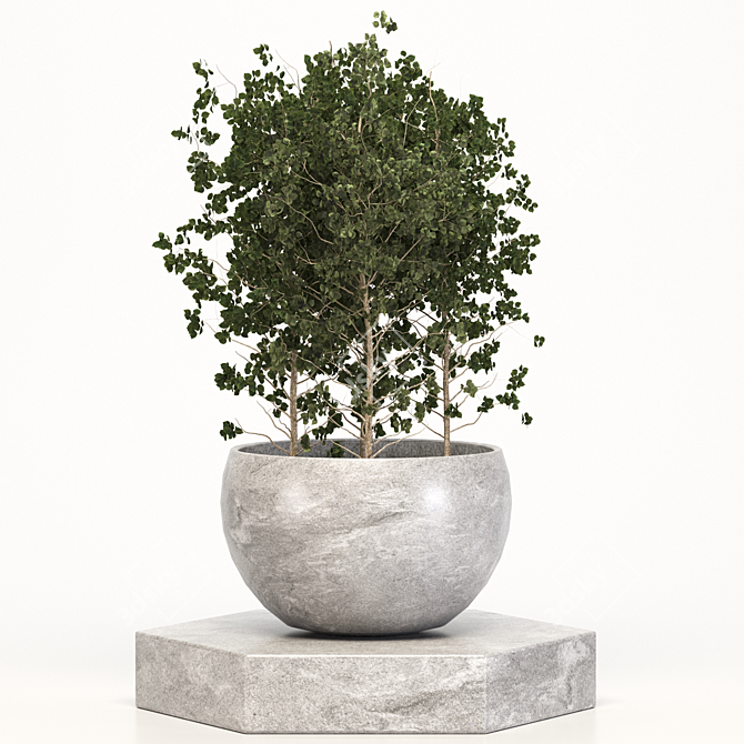 Versatile Plant Collection: Ideal for Indoor and Outdoor Use 3D model image 1