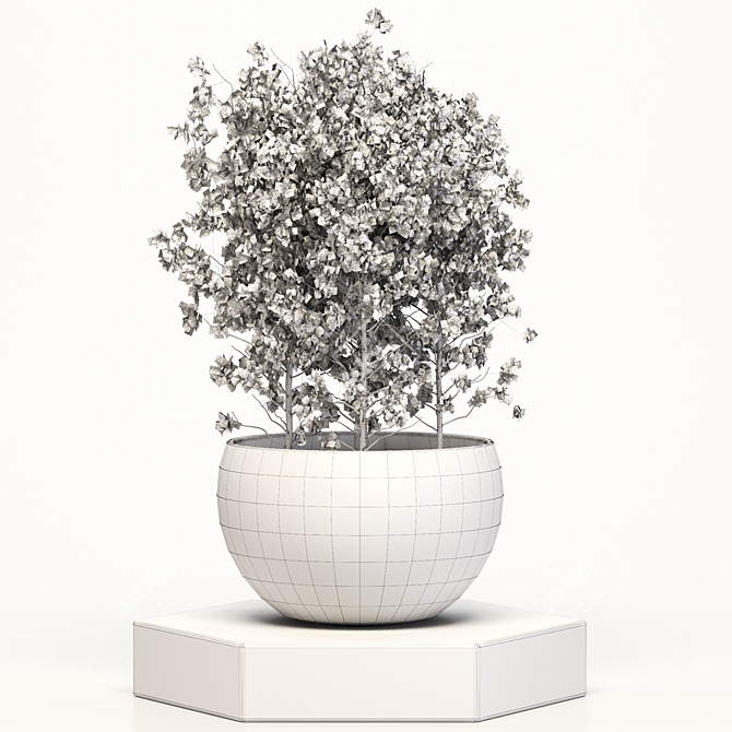 Versatile Plant Collection: Ideal for Indoor and Outdoor Use 3D model image 3