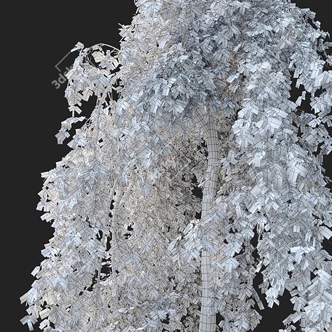 Pair of Petite Weeping Trees 3D model image 5