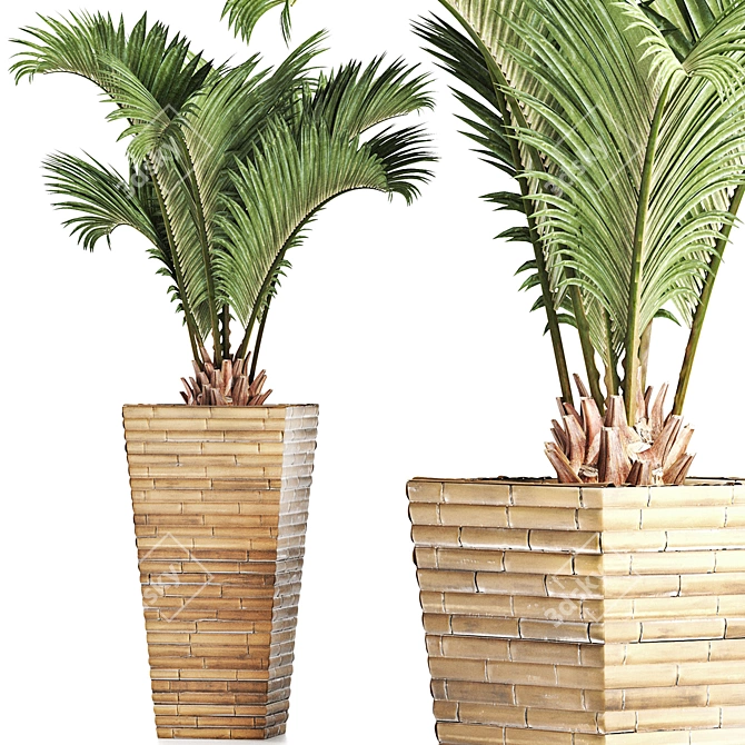 Tropical Oasis: Palm Collection 3D model image 1