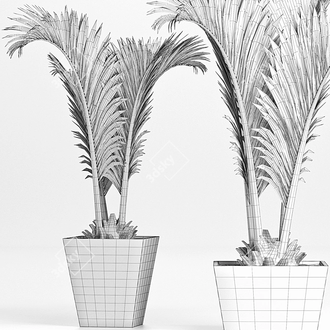 Tropical Plants Collection: Areca, Chamaedorea, Chrysalidocarpus, Howea, Rhapis 3D model image 5