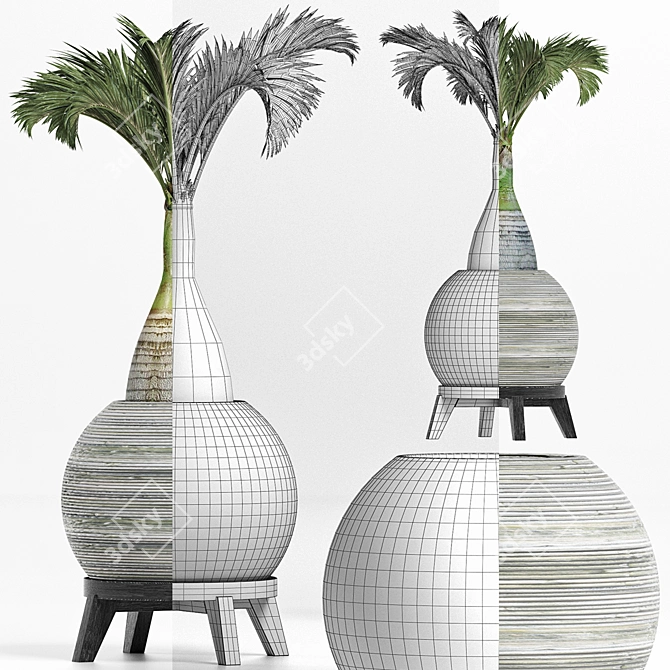 Tropical Plant Collection 3D model image 3