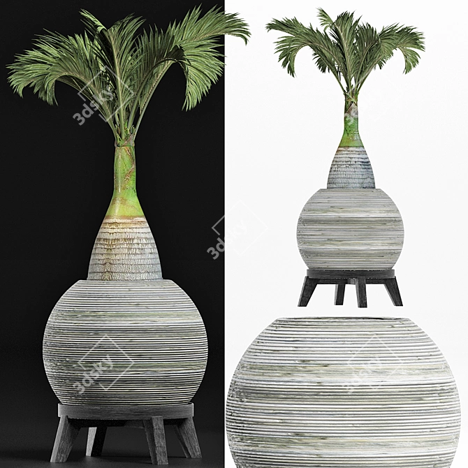 Tropical Plant Collection 3D model image 4