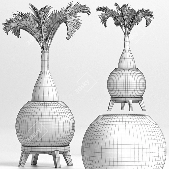 Tropical Plant Collection 3D model image 5