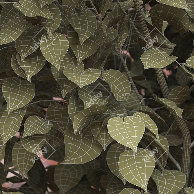 American Linden Tree Set - 4 Young Tilia Americana 3D model image 4