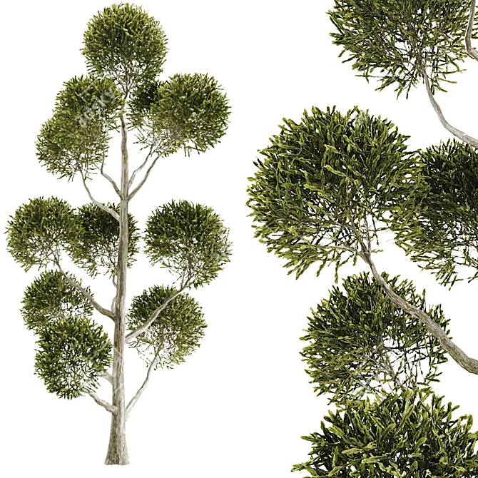 High-Quality Tree Model for 3ds Max & FBX 3D model image 1