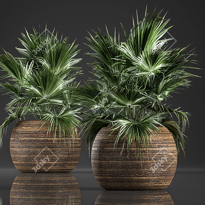 Exotic Palm Collection in Rattan Basket 3D model image 1