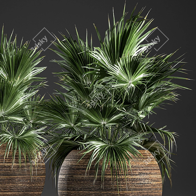 Exotic Palm Collection in Rattan Basket 3D model image 4