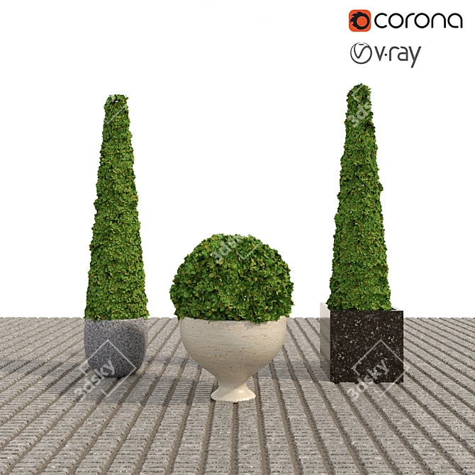  Elegant Boxwood Set: Perfect for 3D Rendering 3D model image 1