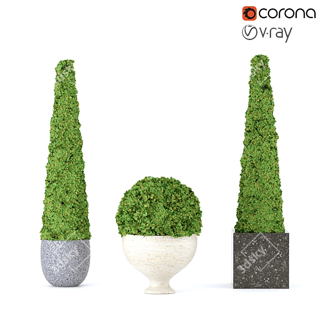  Elegant Boxwood Set: Perfect for 3D Rendering 3D model image 4