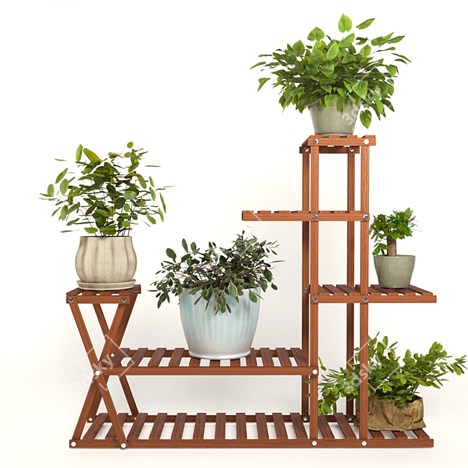 PBR Indoor Plant Collection 3D model image 1