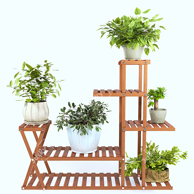 PBR Indoor Plant Collection 3D model image 5