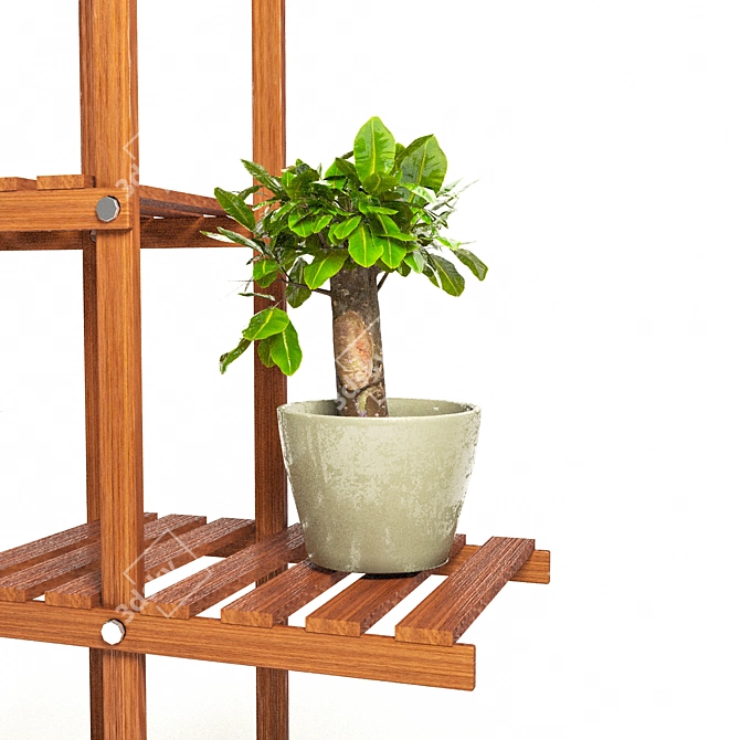 PBR Indoor Plant Collection 3D model image 9