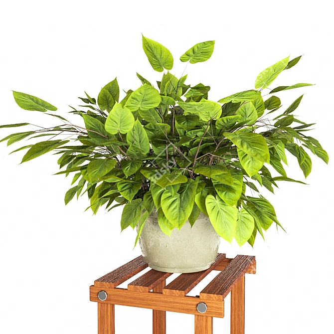 PBR Indoor Plant Collection 3D model image 10