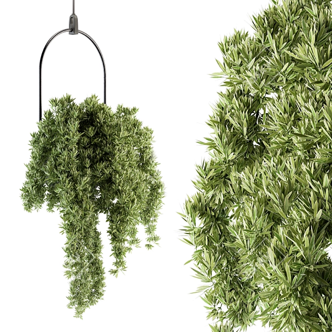 Lush Greenery Hanging Plant Set 3D model image 1