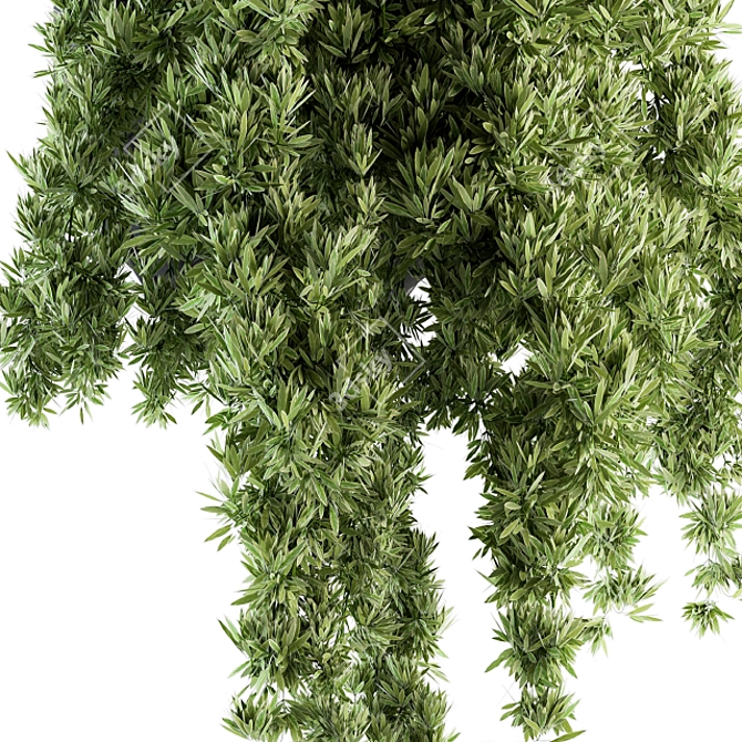 Lush Greenery Hanging Plant Set 3D model image 3