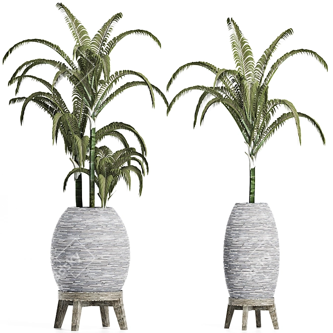 Tropical Palms Collection 3D model image 1