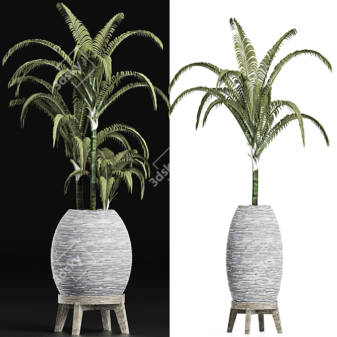 Tropical Palms Collection 3D model image 2