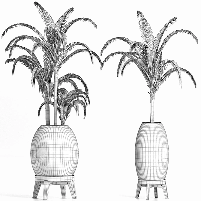 Tropical Palms Collection 3D model image 5