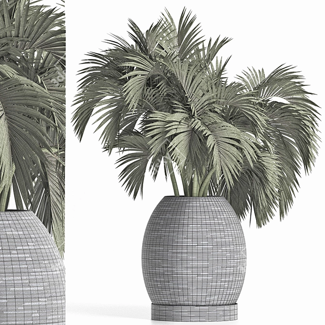 Tropical Oasis Palms Collection 3D model image 3