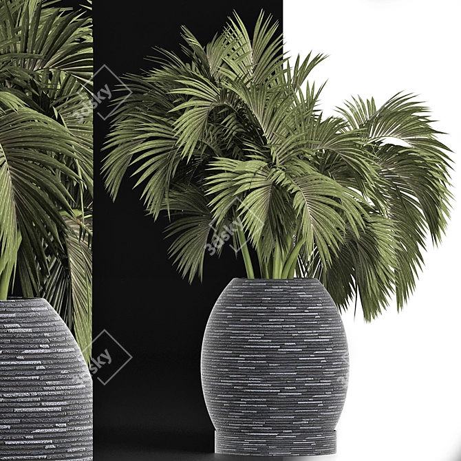 Tropical Oasis Palms Collection 3D model image 5