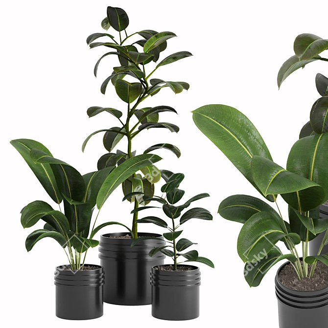 Tropical Beauty Indoor Plant 3D model image 1