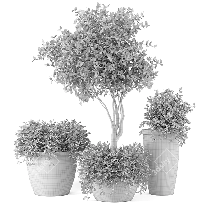 Rusty Concrete Pot Outdoor Plant Set 3D model image 5