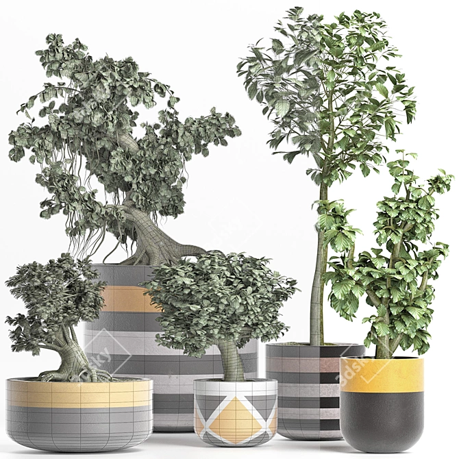 Exotic Mini Bonsai Collection: Sageretia Theezans 3D model image 4