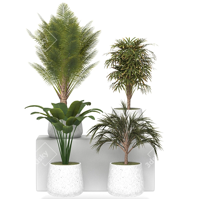 Indoor Jungle: Houseplant Collection 3D model image 1