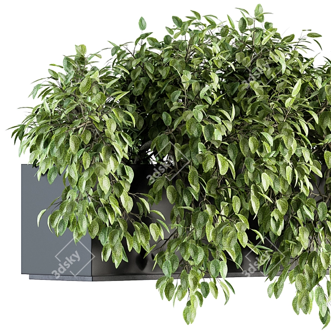 Lush Ivy Indoor Set - 160 3D model image 4