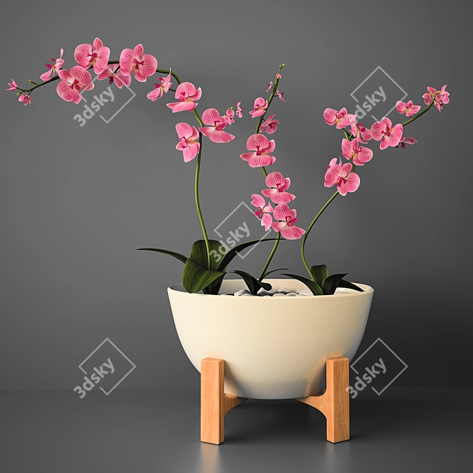 Delicate Orchid Bloom 3D model image 1
