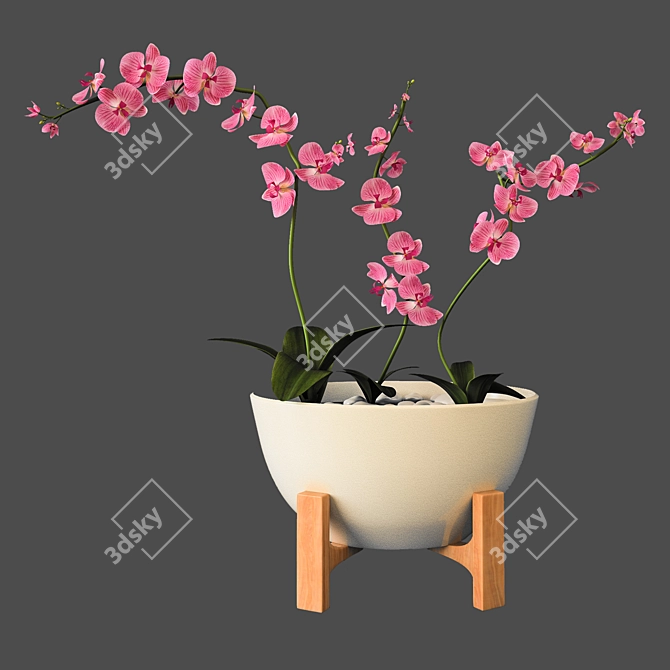 Delicate Orchid Bloom 3D model image 3