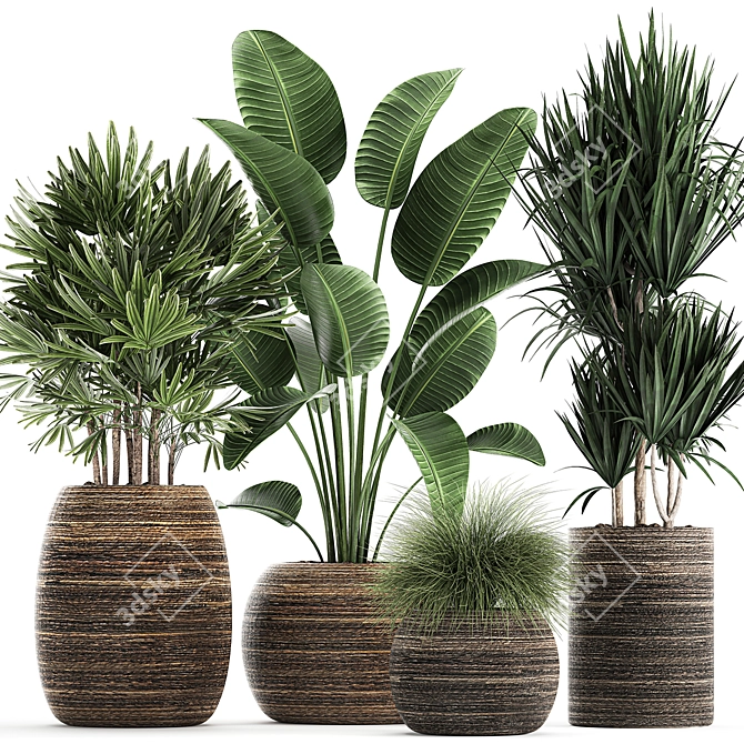 Exotic Plant Collection in Rattan Basket 3D model image 1