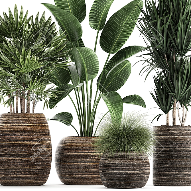 Exotic Plant Collection in Rattan Basket 3D model image 2