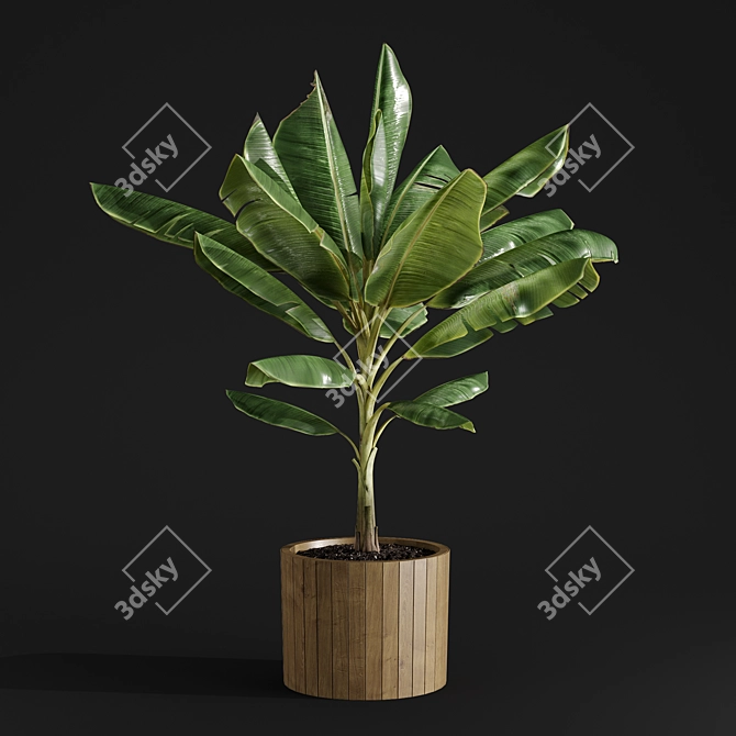 Tropical Joy: Banana Palm in Pot 3D model image 4