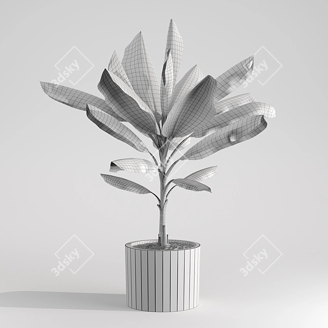 Tropical Joy: Banana Palm in Pot 3D model image 6