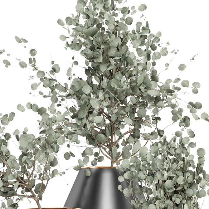 Eucalyptus Bouquet Set: Refreshing Indoor Greenery 3D model image 4