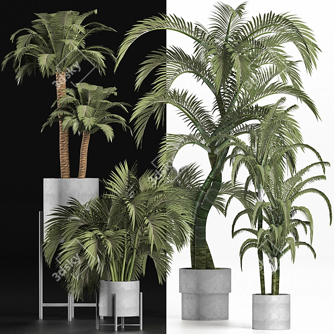 Tropical Palms Collection 3D model image 2
