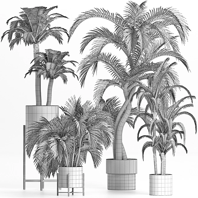 Tropical Palms Collection 3D model image 5