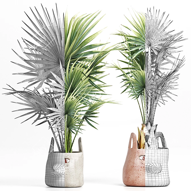 Tropical Palm Plant Collection 3D model image 2