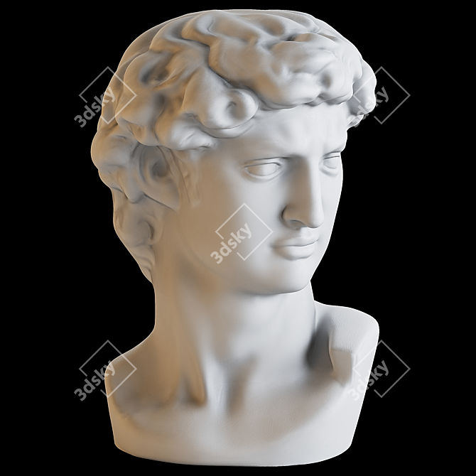 Detailed Polyresin David Bust 3D model image 1