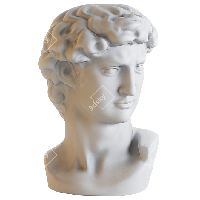 Detailed Polyresin David Bust 3D model image 2