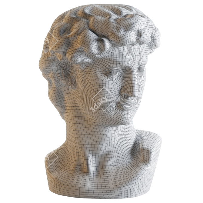 Detailed Polyresin David Bust 3D model image 3