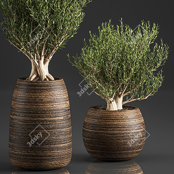 Exotic Plant Collection in Rattan Basket 3D model image 2