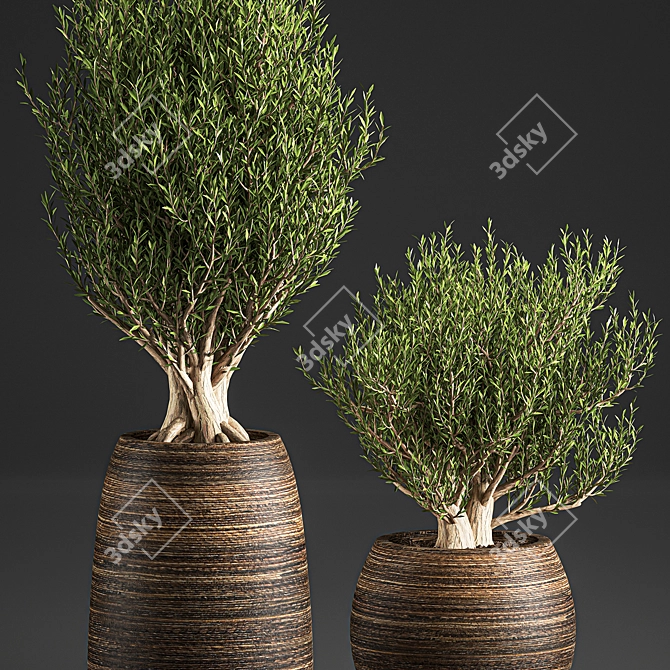 Exotic Plant Collection in Rattan Basket 3D model image 3