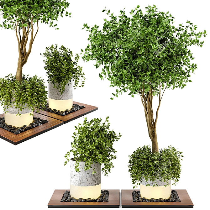 Natural Wood & Concrete Outdoor Plant Set 3D model image 2