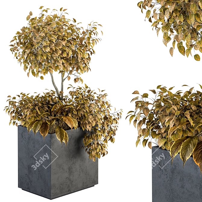 Nature's Haven Outdoor Box 3D model image 1