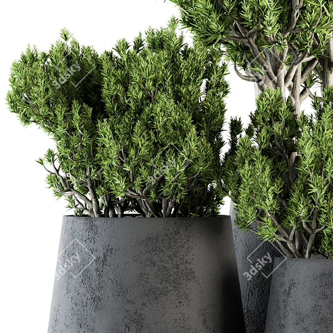 Greenery Oasis: Indoor Plant Set 3D model image 4