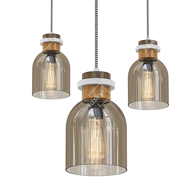 Eclectic Glass Jar Pendant Light 3D model image 1