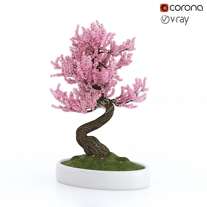 Sakura Bonsai Tree: 3D Model 3D model image 1